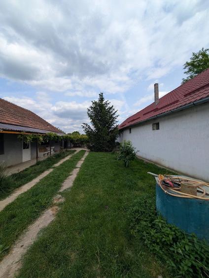 Casă cu Teren 1098 Mp în Central