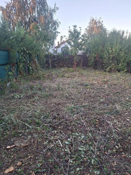 Teren Construcții intravilan de 594 mp, în Chiajna