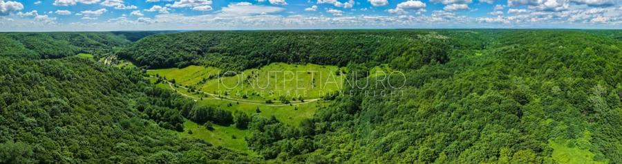Teren agricol extravilan de 5500 mp, în Valea Mare-Podgoria