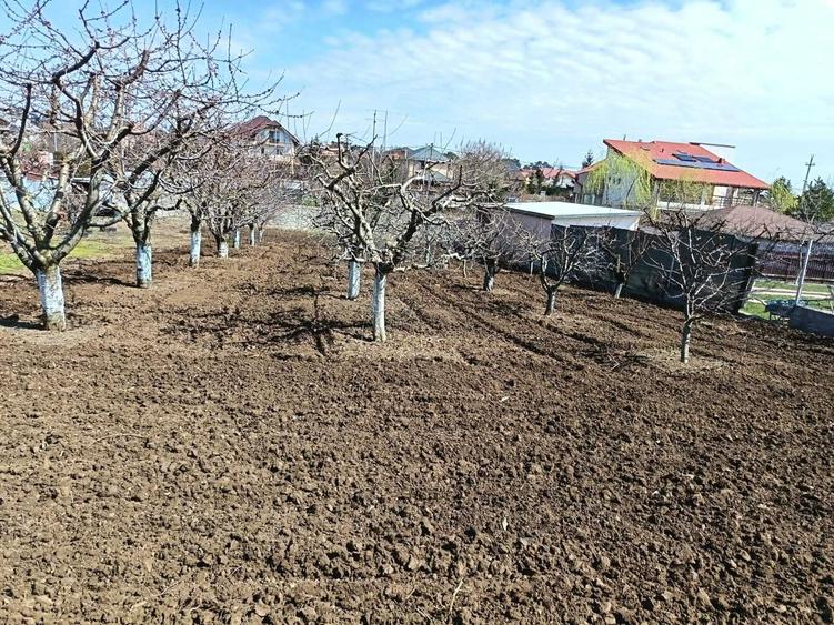 Vils la gri in Buftea, Strada Indepententei,NR 8 ,Calul Balan - 1