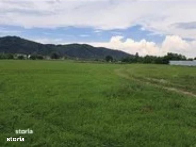 Teren de 17500 mp, în Central