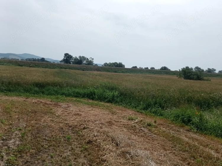 Teren de 6600 mp, în Central