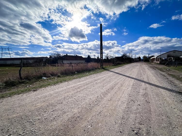 Teren agricol intravilan de 5000 mp, în Hălchiu