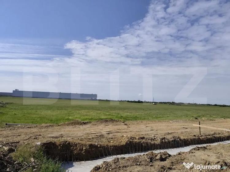Teren de 10000 mp, în Nufărul