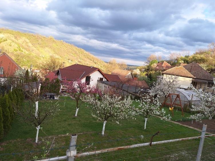Casă cu 3 camere în Central
