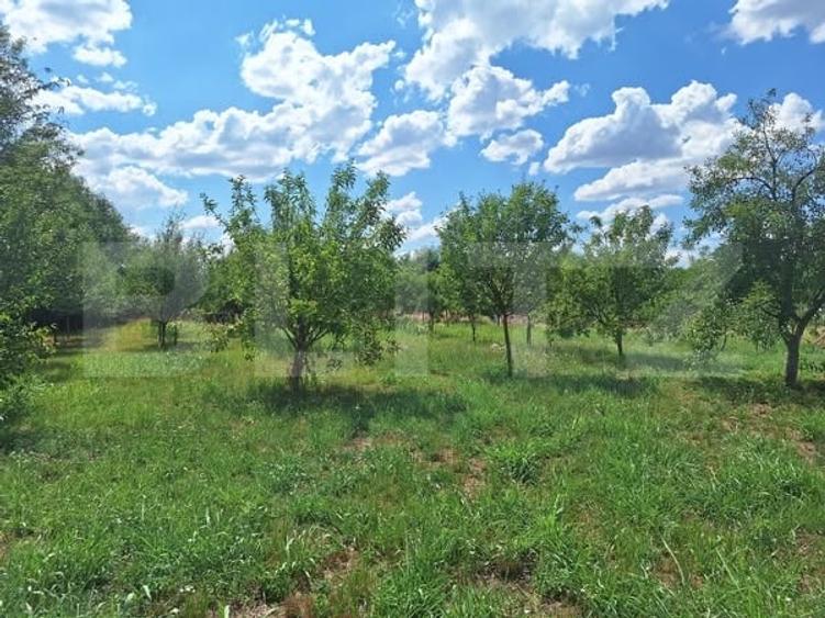 Teren Construcții intravilan de 3600 mp, în Plopi