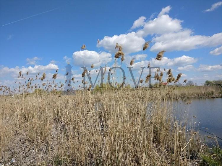 Teren agricol extravilan de 220000 mp, în Est