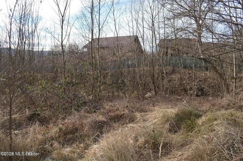 Teren Construcții intravilan de 2744 mp, în Bascov