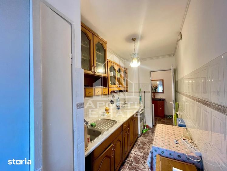 Apartament cu 2 camere semidecomandat în Șega