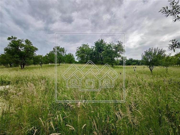 Teren agricol intravilan de 7267 mp, în Central