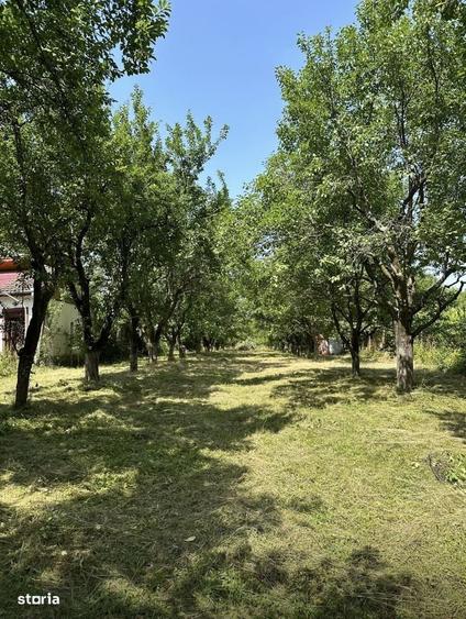 Teren Intravilan Cu Utilitati Tocile Str Stejarului Panorama Deosebita - 1