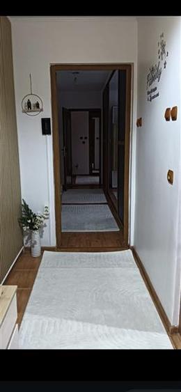 Apartament cu 2 camere decomandat în Rovine