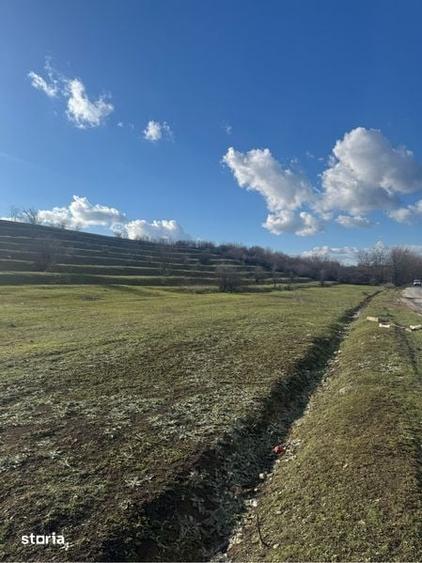 Teren de 5500 mp, în Sud