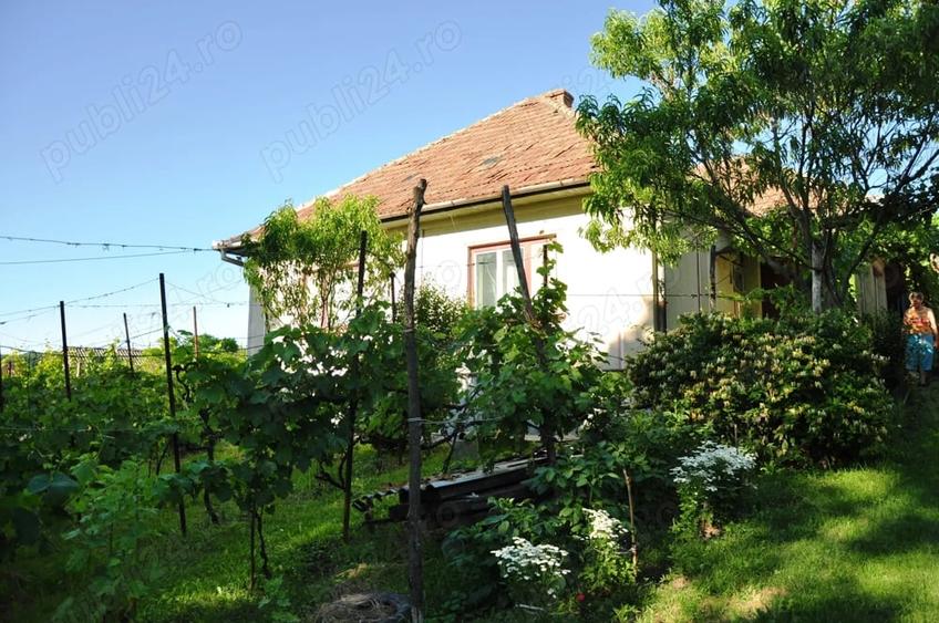 Casă cu 5 camere cu Teren 2900 Mp în Central
