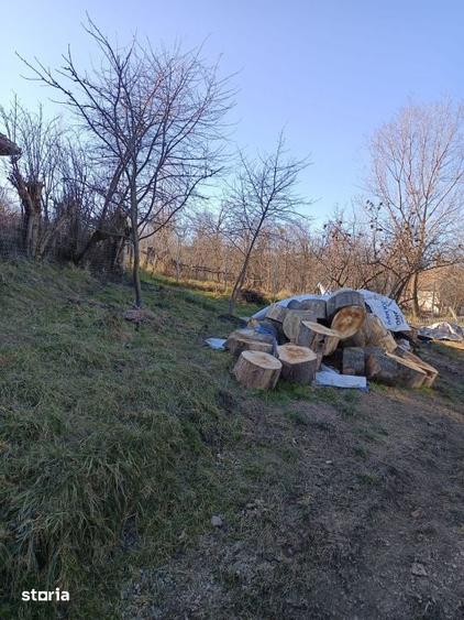 Teren de 1500 mp, în Cojocna