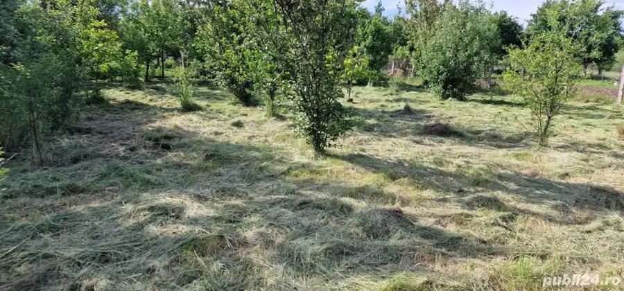 Teren de 3034 mp, în Bejan