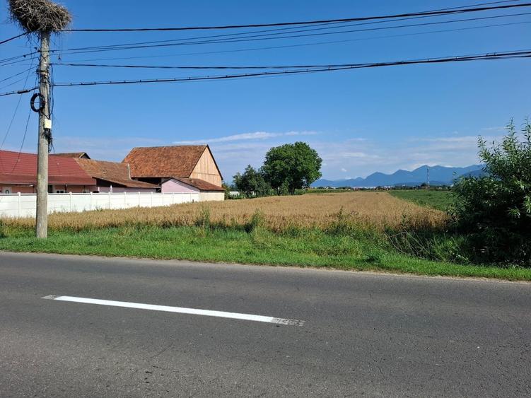 Spațiu comercial, în Stupini