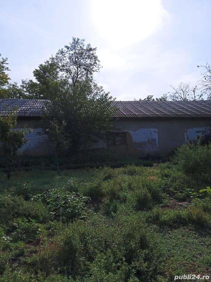 Teren de 1335 mp, în Grădiștea