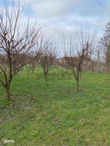 EXCLUSIVITATE ! Casa pe 3 etaje de vanzare in Cenad la pret de apartam - 6