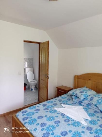 Hotel/Pensiune, de 16 mp, în Ciocănești