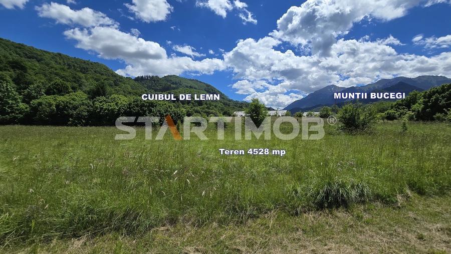 Teren Construcții extravilan de 5000 mp, în Glăjărie