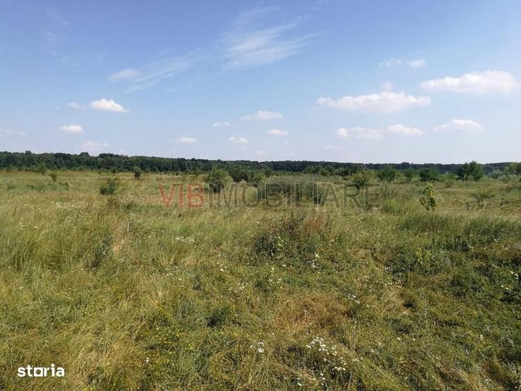 Baneasa - Piscul Reghiului, teren intravilan, suprafata 727 mp - 1