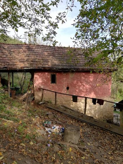 Teren de 11650 mp, în Valea Borcutului