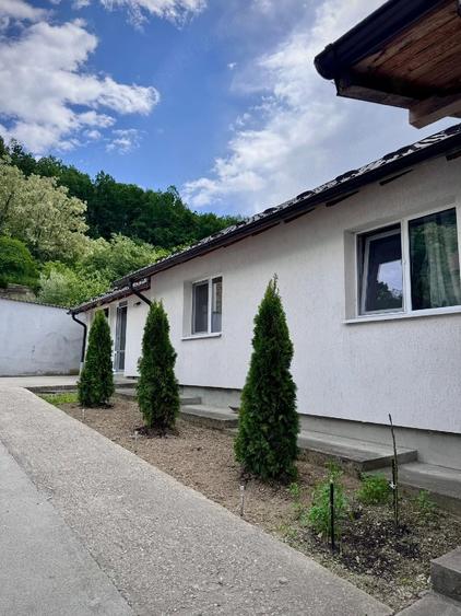 Casă cu Teren 867 Mp în Drăganu