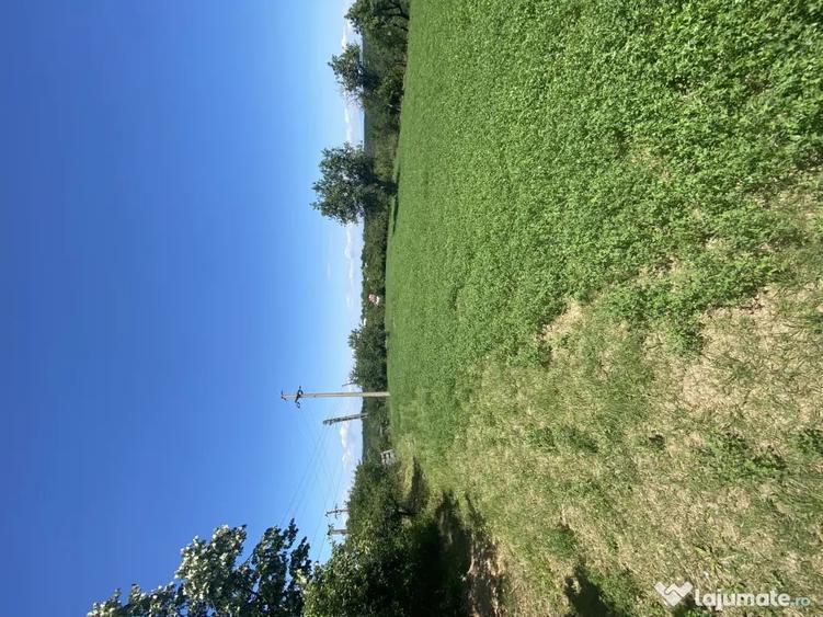 Teren de 16600 mp, în Cocu