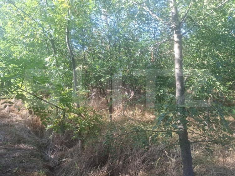 Teren Construcții extravilan de 5000 mp, în Mătăsaru