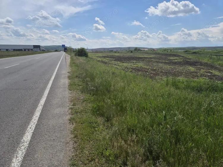 Teren de 10000 mp, în Central