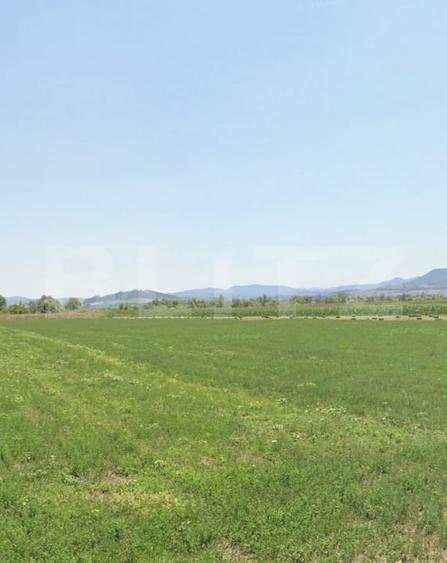 Teren agricol extravilan de 17400 mp, în Rupea