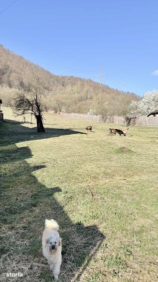Casă cu 5 camere cu Teren 388 Mp în Malaia