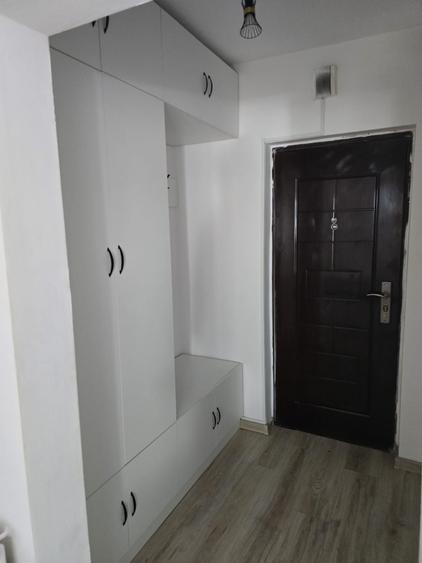 Garsonieră în Brazda lui Novac