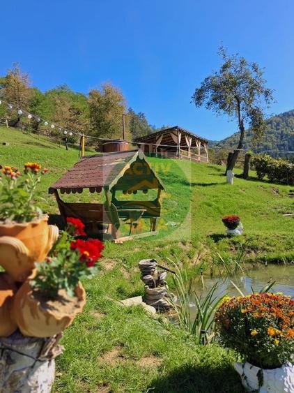 Casă cu 6 camere cu Teren 3980 Mp în Bicaz