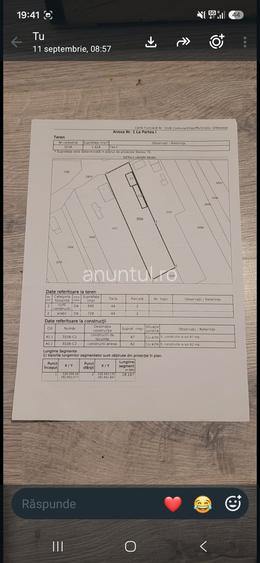 Orbeasca de sus, jud TR, str Valea targului nr 28