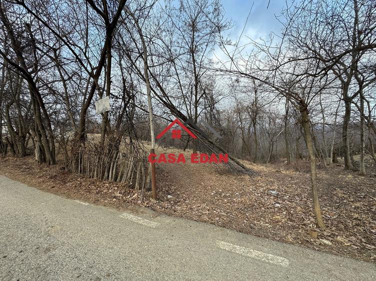 Teren Construcții intravilan de 3074 mp, în Cornu de Jos (Cornu)