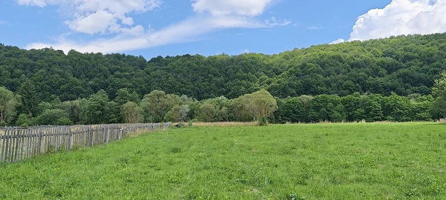 Teren de 4950 mp, în Vama Buzăului
