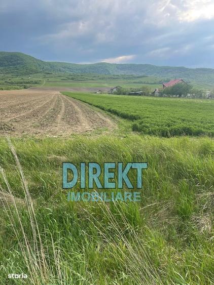 Spațiu comercial, în Arcalia