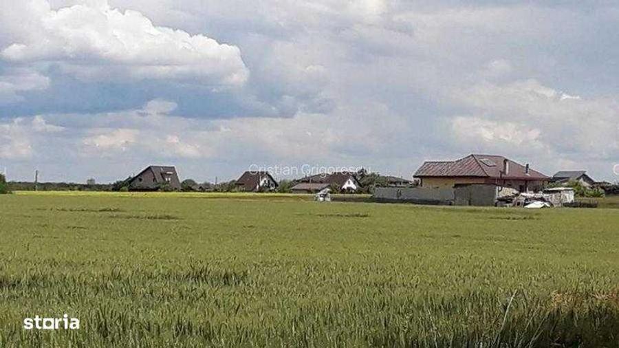 Teren intravilan Branesti-Ilfov - 1