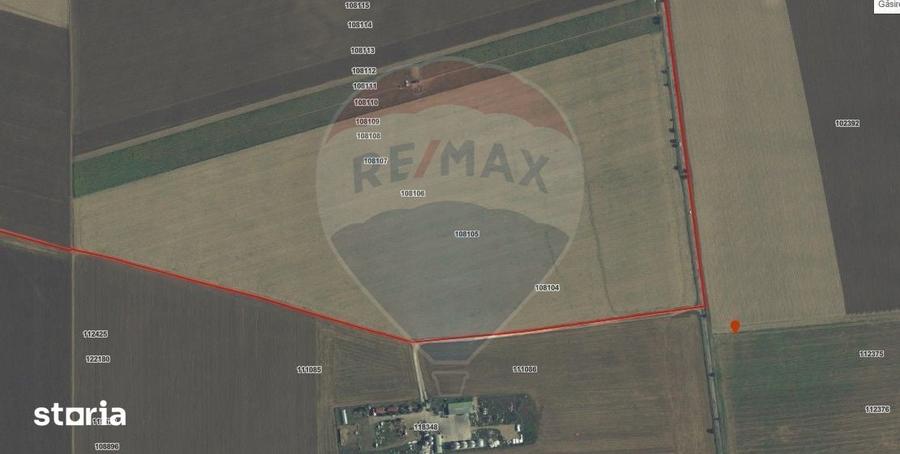 Teren de vanzare in Sacele ideal pentru silozuri, ferma 6 ha - 5