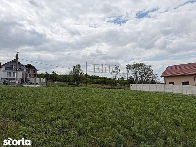 Teren intravilan 843 mp, zona Dealuri Oradea | Panorama superba - 4