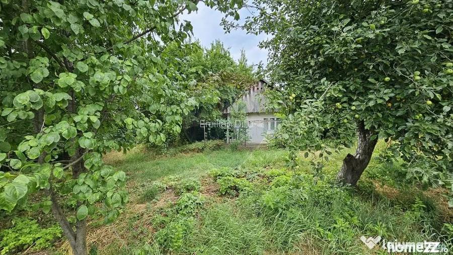 Teren intravilan 2,036mp Padureni-?endriceni, Boto?ani - Padureni (sendriceni) (Botosani)