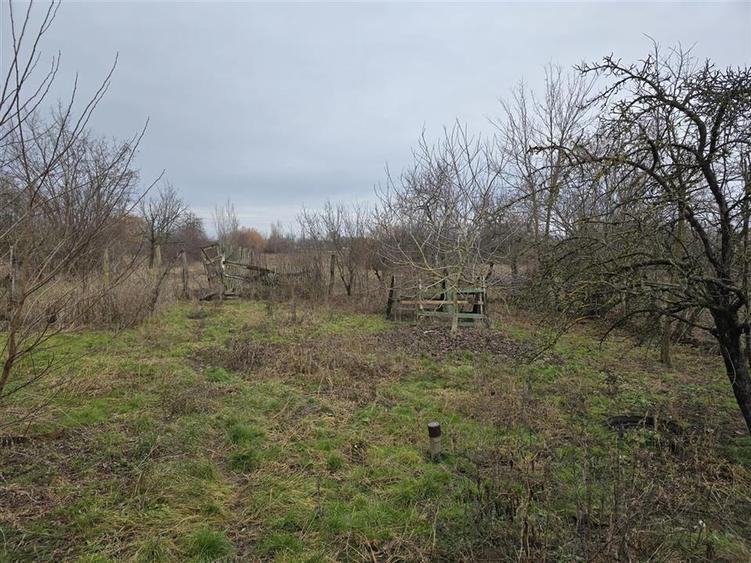 Casă individuală cu 3 camere cu Teren 7900 Mp în Boiu