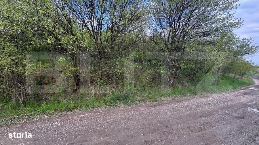 Teren extravilan de vanzare, 2.670 mp, Bistrita - 4