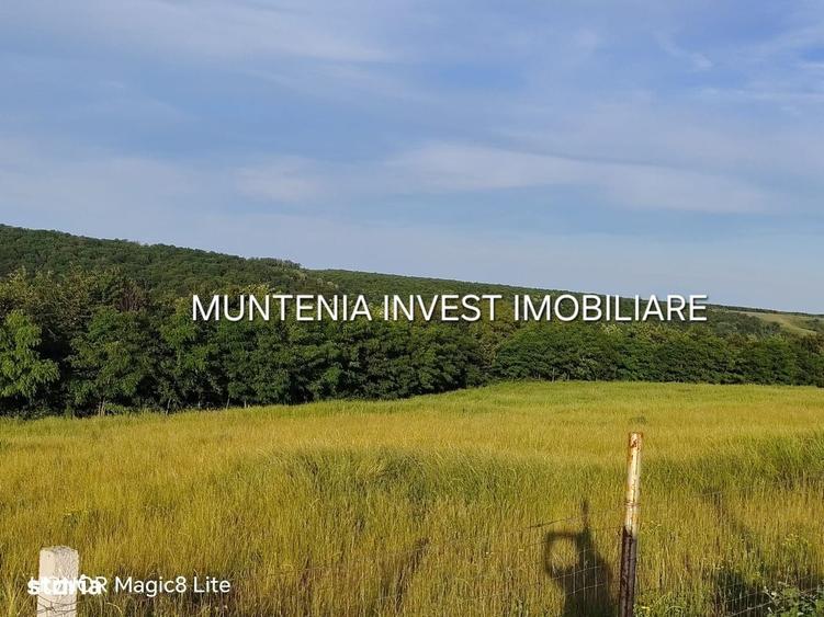 Spațiu comercial, în Moșoaia