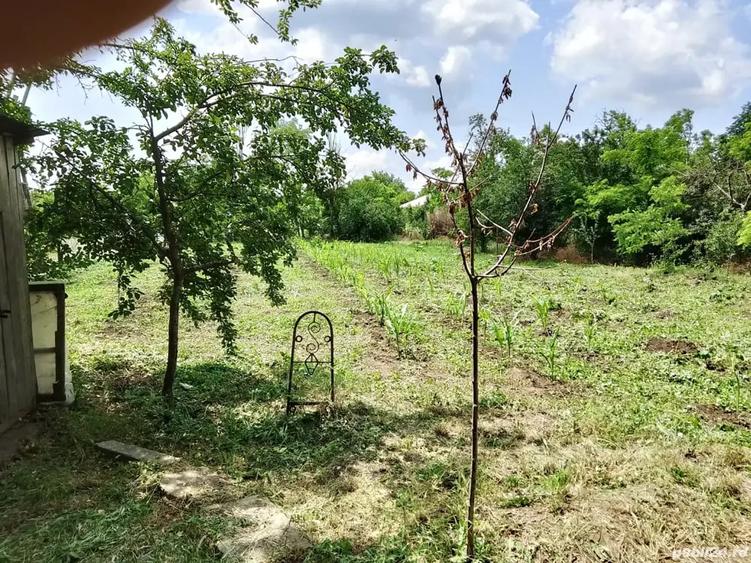 Casă cu 3 camere cu Teren 1400 Mp în Tudor Vladimirescu