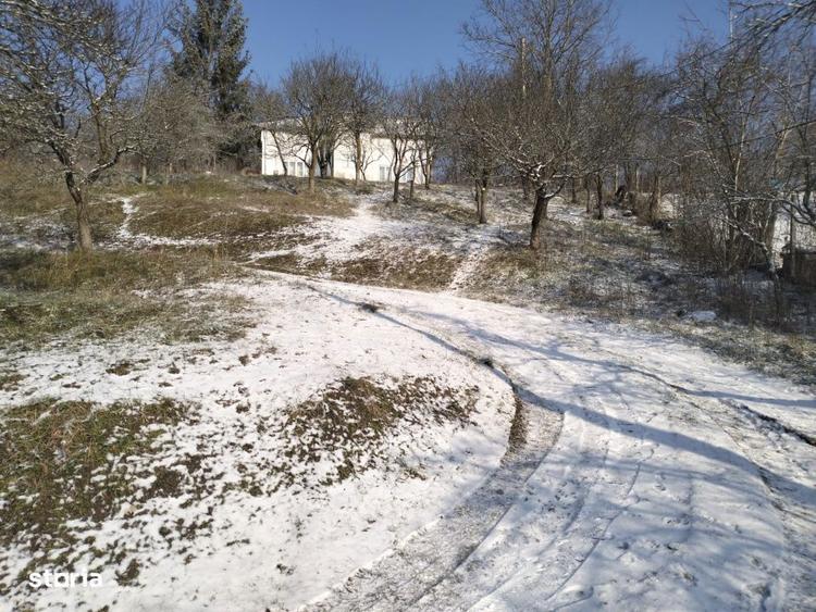 Teren de 5950 mp, în Scorțeni