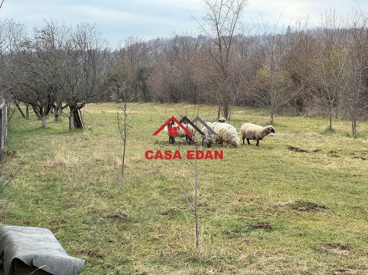 Teren Construcții intravilan de 2080 mp, în Brebu Mânăstirei