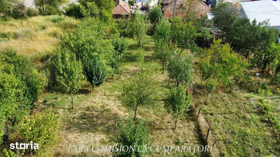 Teren de 1451 mp, în Golești